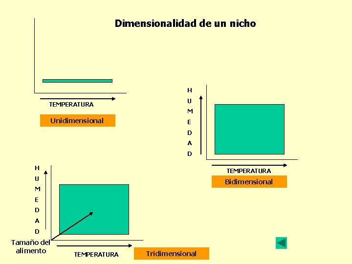 Dimensionalidad de un nicho H TEMPERATURA U M Unidimensional E D A D H