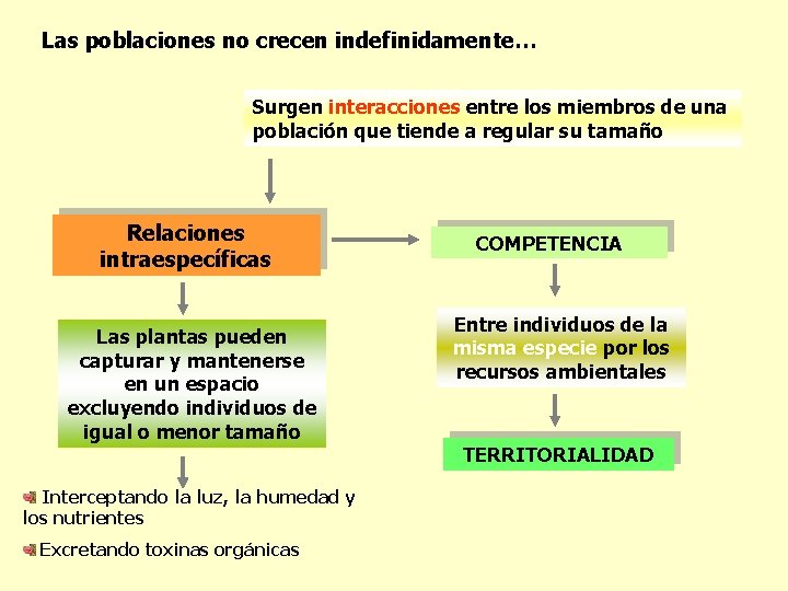 Las poblaciones no crecen indefinidamente… Surgen interacciones entre los miembros de una población que