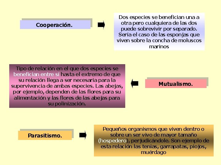 Cooperación. Dos especies se benefician una a otra pero cualquiera de las dos puede