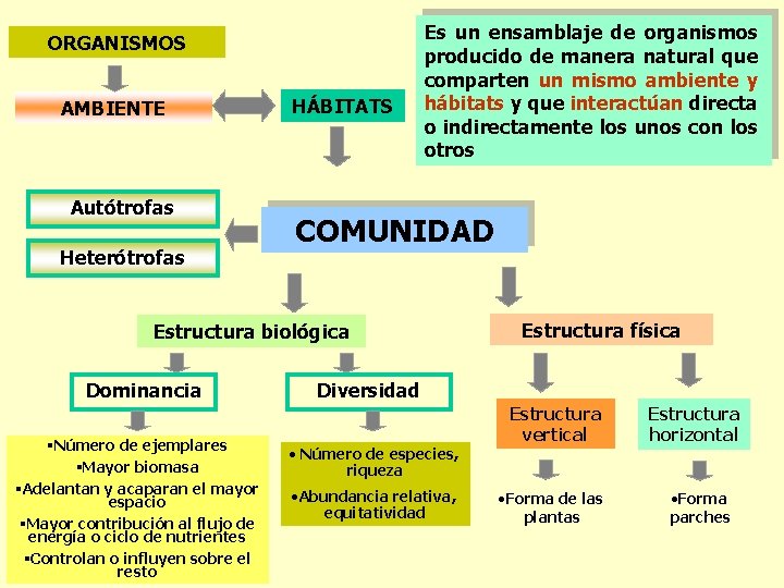 ORGANISMOS AMBIENTE Autótrofas Heterótrofas HÁBITATS Es un ensamblaje de organismos producido de manera natural