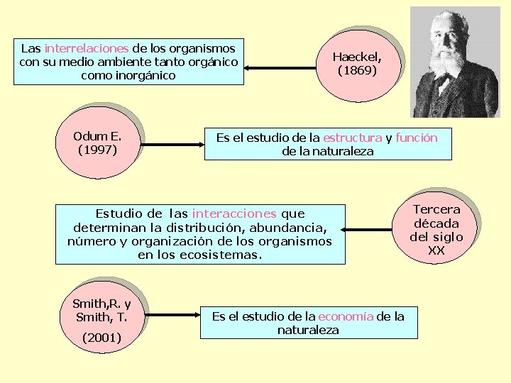 Las interrelaciones de los organismos con su medio ambiente tanto orgánico como inorgánico Odum