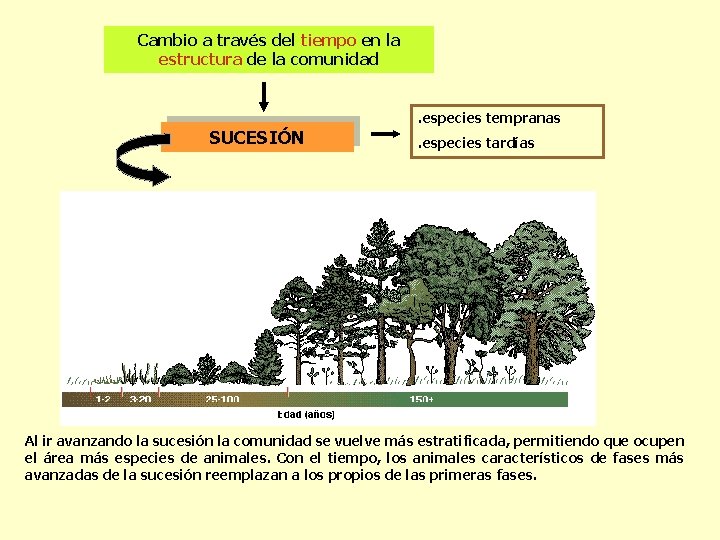 Cambio a través del tiempo en la estructura de la comunidad . especies tempranas