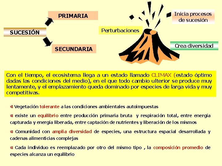 Inicia procesos de sucesión PRIMARIA Perturbaciones SUCESIÓN SECUNDARIA Crea diversidad Con el tiempo, el