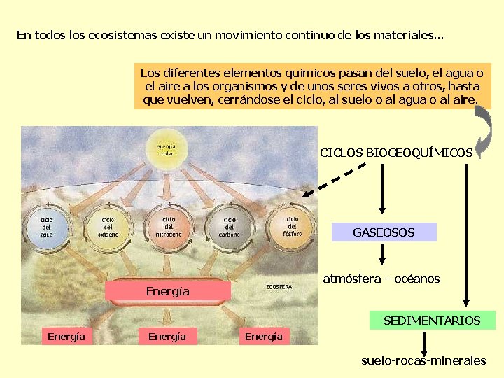 En todos los ecosistemas existe un movimiento continuo de los materiales. . . Los