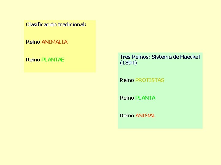 Clasificación tradicional: Reino ANIMALIA Reino PLANTAE Tres Reinos: Sistema de Haeckel (1894) Reino PROTISTAS