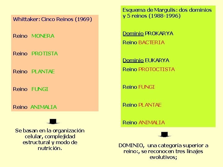 Whittaker: Cinco Reinos (1969) Esquema de Margulis: dos dominios y 5 reinos (1988 -1996)