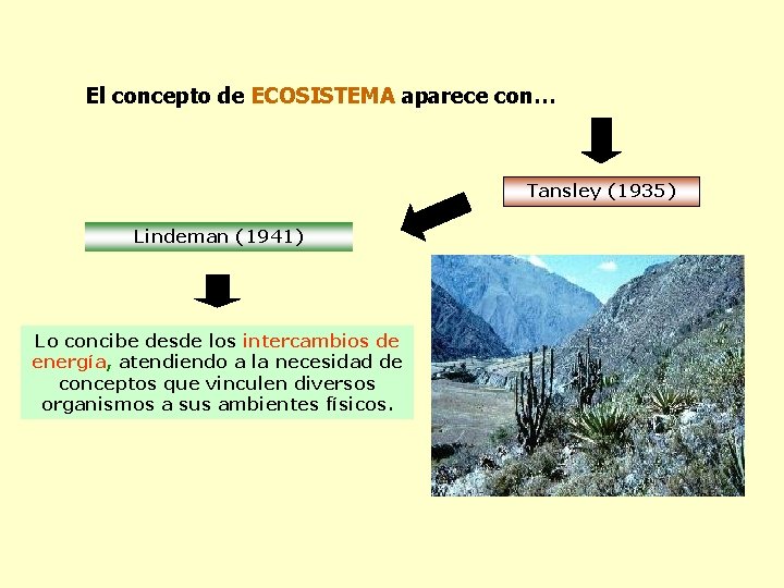 El concepto de ECOSISTEMA aparece con… Tansley (1935) Lindeman (1941) Lo concibe desde los