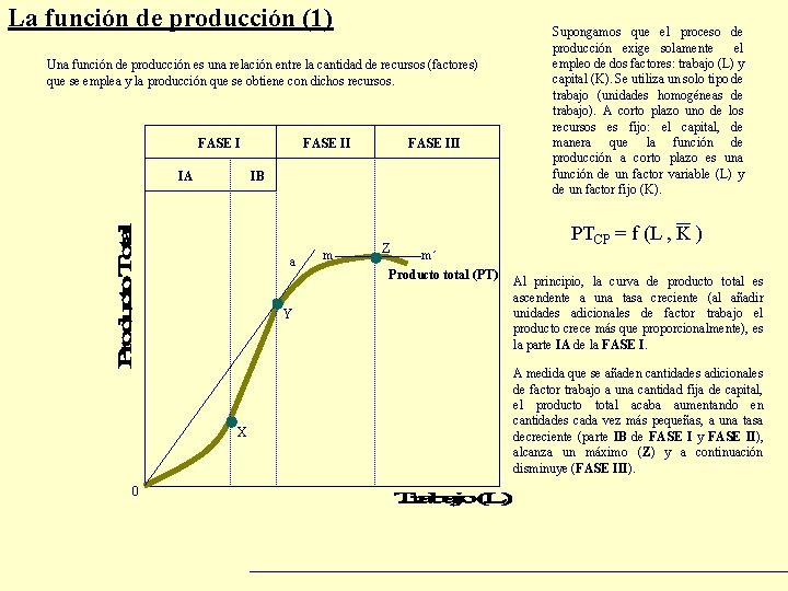 La función de producción (1) Una función de producción es una relación entre la