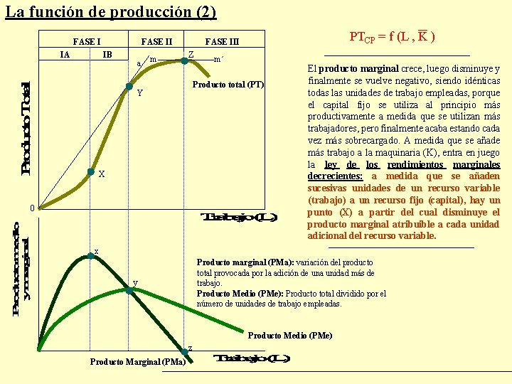 La función de producción (2) FASE I IA FASE II IB a m PTCP