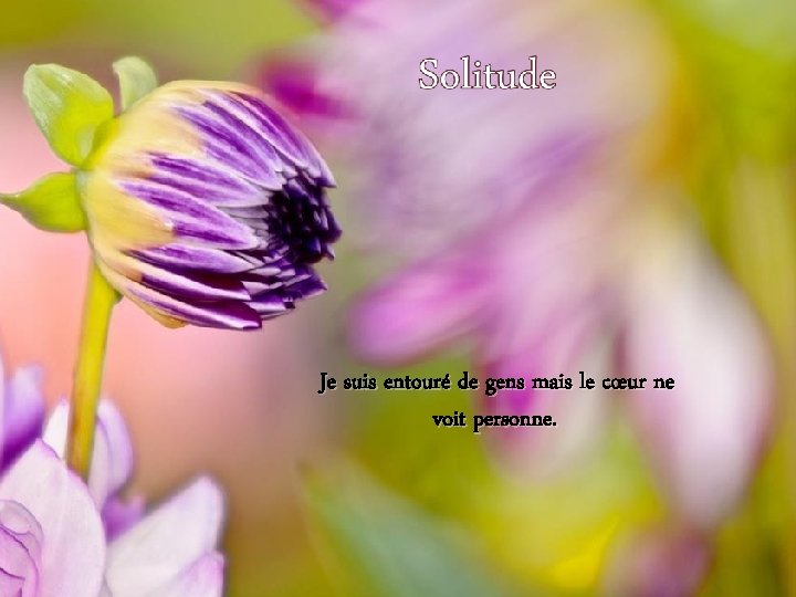 Je suis entouré de gens mais le cœur ne voit personne. 