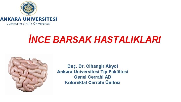 İNCE BARSAK HASTALIKLARI Doç. Dr. Cihangir Akyol Ankara Üniversitesi Tıp Fakültesi Genel Cerrahi AD