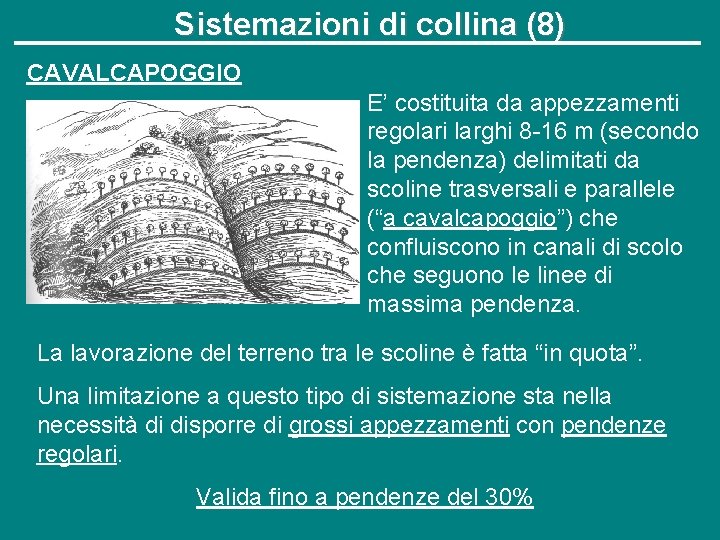 Sistemazioni di collina (8) CAVALCAPOGGIO E’ costituita da appezzamenti regolari larghi 8 -16 m