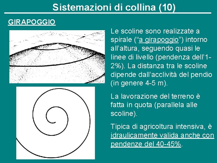 Sistemazioni di collina (10) GIRAPOGGIO Le scoline sono realizzate a spirale (“a girapoggio”) intorno