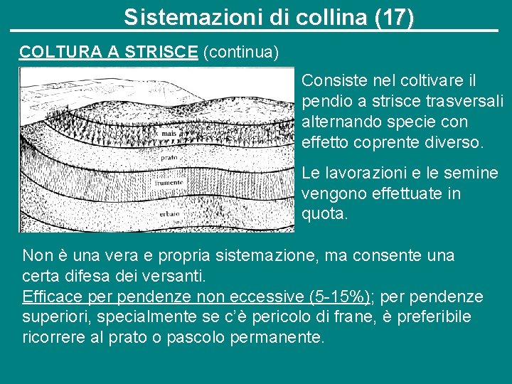 Sistemazioni di collina (17) COLTURA A STRISCE (continua) Consiste nel coltivare il pendio a
