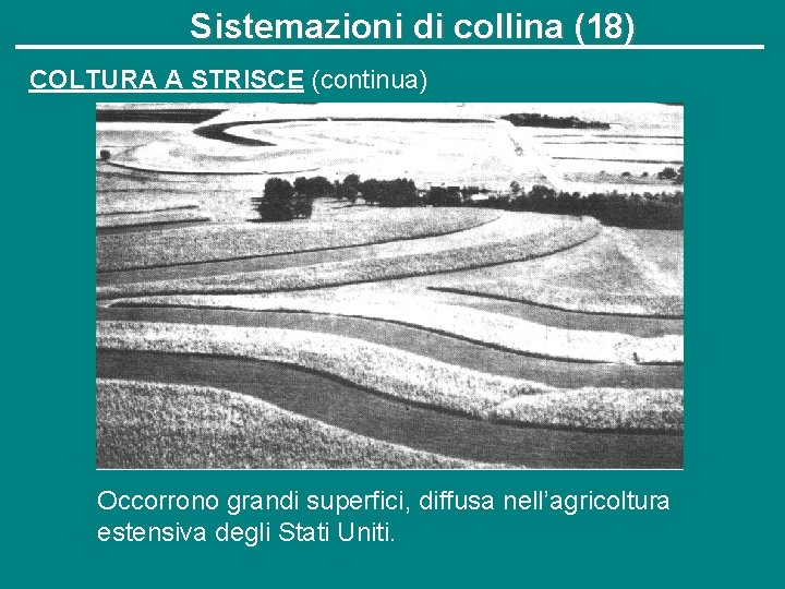 Sistemazioni di collina (18) COLTURA A STRISCE (continua) Occorrono grandi superfici, diffusa nell’agricoltura estensiva