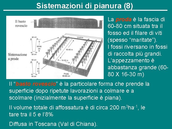 Sistemazioni di pianura (8) La proda è la fascia di 60 -80 cm situata