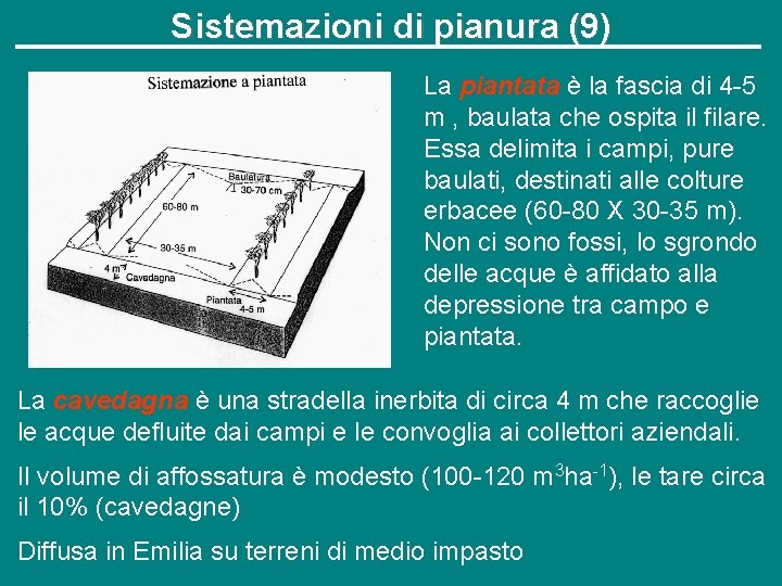 Sistemazioni di pianura (9) La piantata è la fascia di 4 -5 m ,