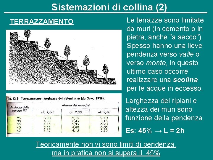 Sistemazioni di collina (2) TERRAZZAMENTO Le terrazze sono limitate da muri (in cemento o