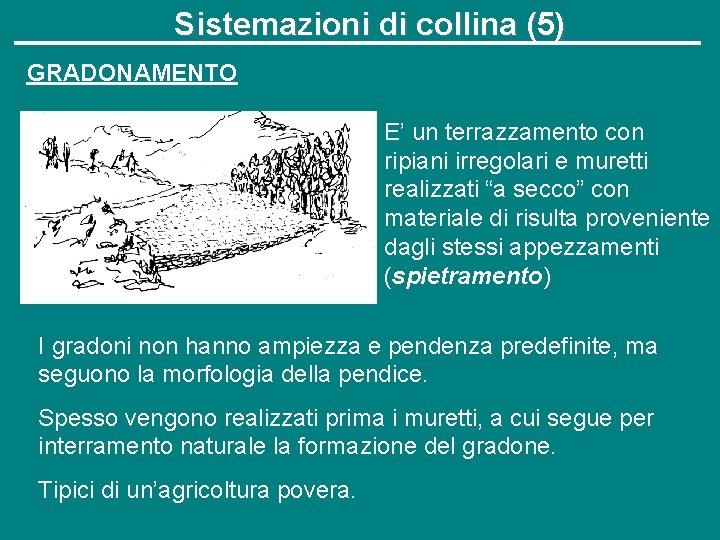 Sistemazioni di collina (5) GRADONAMENTO E’ un terrazzamento con ripiani irregolari e muretti realizzati