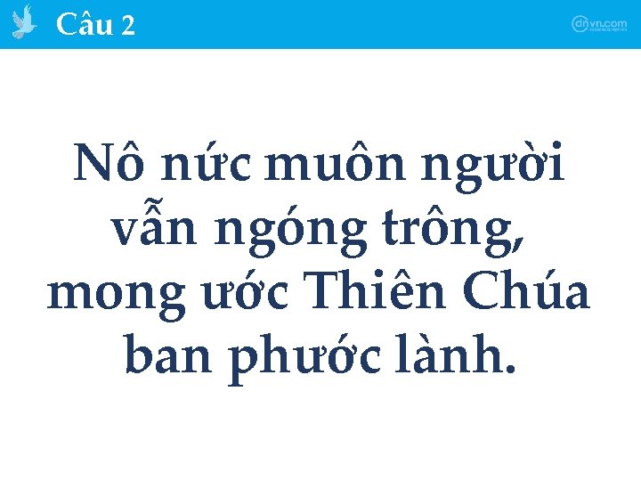 Câu 2 Nô nức muôn người vẫn ngóng trông, mong ước Thiên Chúa ban