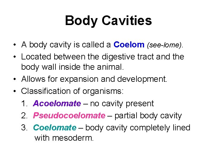 Body Cavities • A body cavity is called a Coelom (see-lome). • Located between