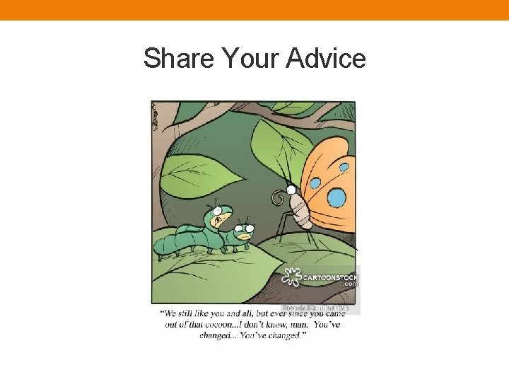 Share Your Advice 