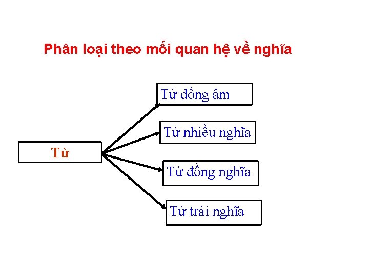 Phân loại theo mối quan hệ về nghĩa Từ đồng âm Từ nhiều nghĩa