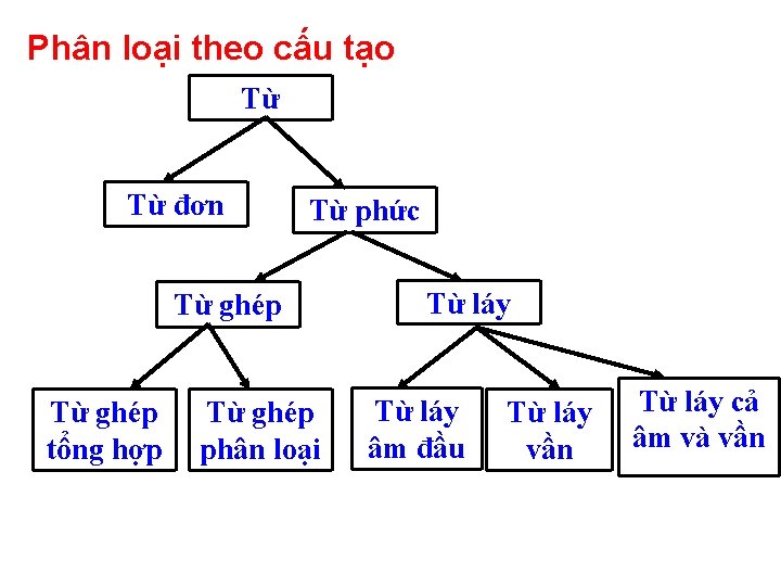 Phân loại theo cấu tạo Từ Từ đơn Từ phức Từ ghép tổng hợp Phân loại theo cấu tạo Từ Từ đơn Từ phức Từ ghép tổng hợp