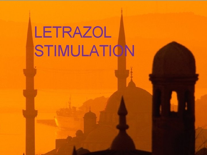 LETRAZOL STIMULATION 