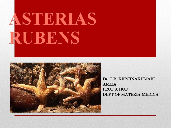 ASTERIAS RUBENS Dr. C. R. KRISHNAKUMARI AMMA PROF & HOD DEPT OF MATERIA MEDICA