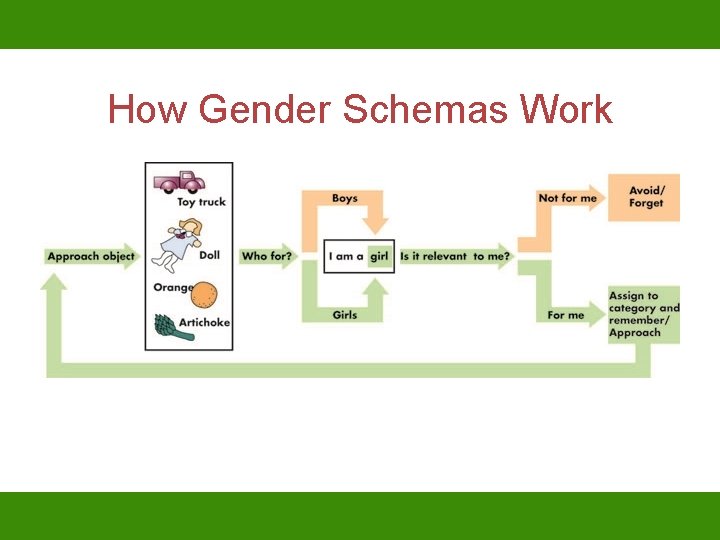 How Gender Schemas Work 