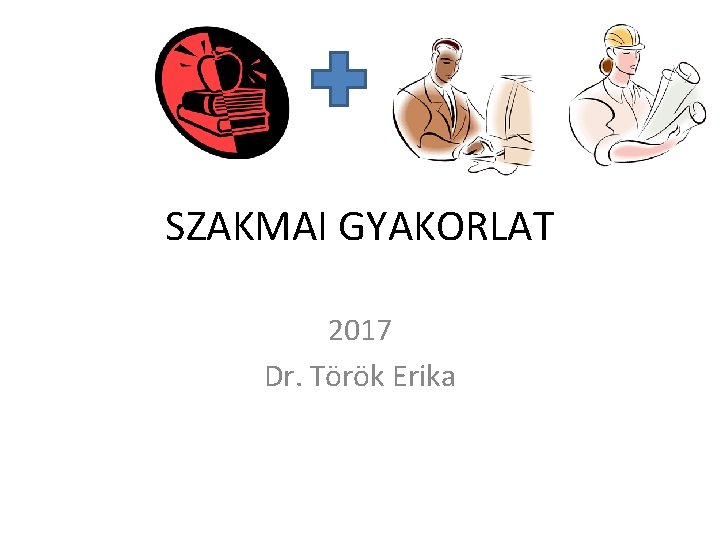 SZAKMAI GYAKORLAT 2017 Dr. Török Erika 