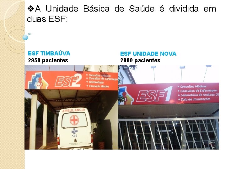 v. A Unidade Básica de Saúde é dividida em duas ESF: ESF TIMBAÚVA 2950