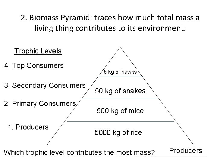 2. Biomass Pyramid: traces how much total mass a living thing contributes to its