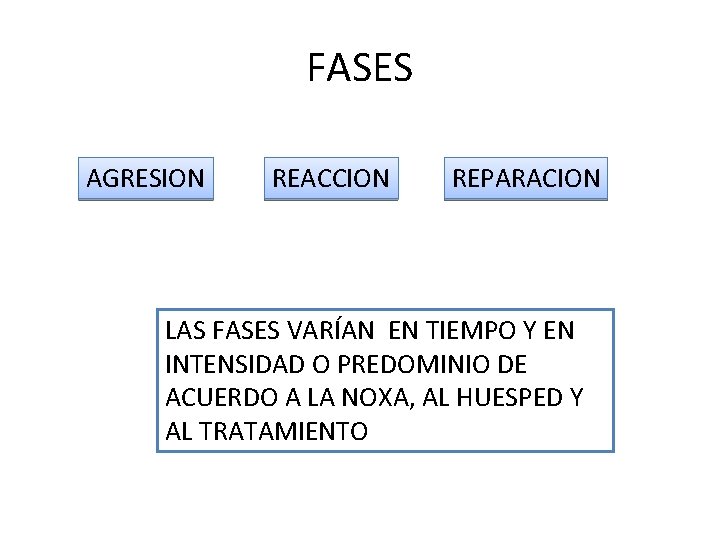 FASES AGRESION REACCION REPARACION LAS FASES VARÍAN EN TIEMPO Y EN INTENSIDAD O PREDOMINIO