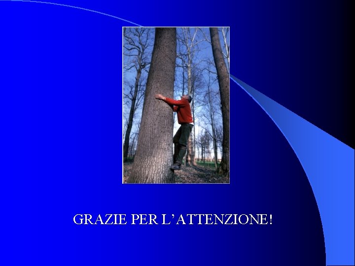 GRAZIE PER L’ATTENZIONE! GRAZIE PER L’ATTENZIONE!