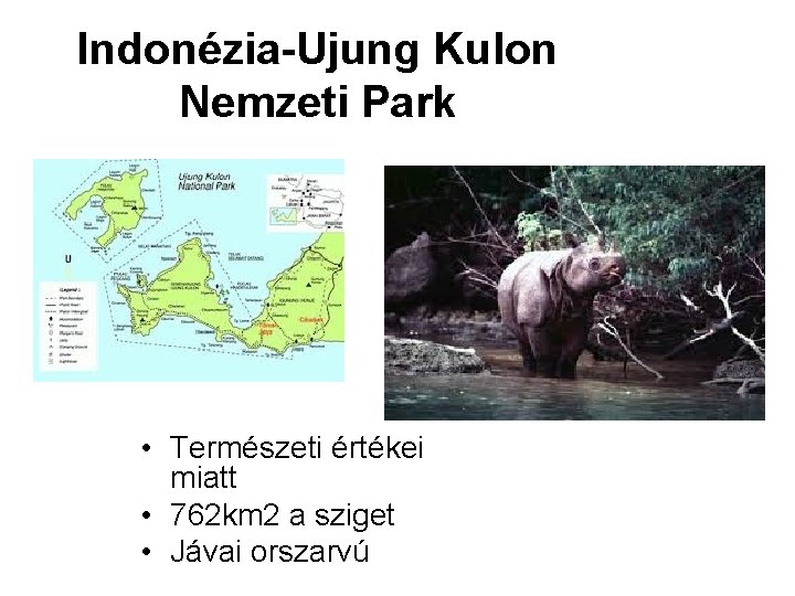 Indonézia-Ujung Kulon Nemzeti Park • Természeti értékei miatt • 762 km 2 a sziget