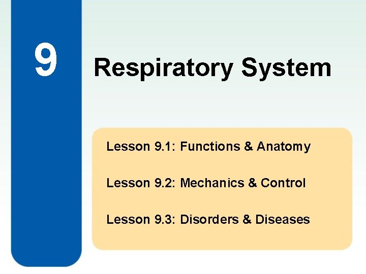 9 Respiratory System Lesson 9. 1: Functions & Anatomy Lesson 9. 2: Mechanics &