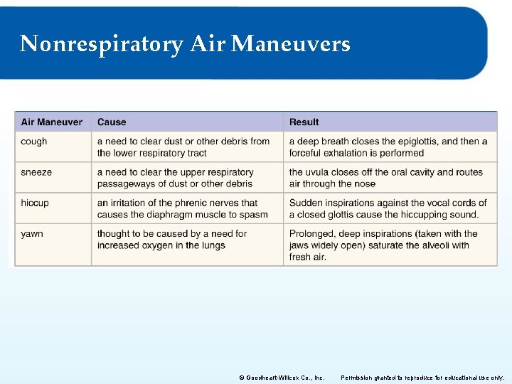 Nonrespiratory Air Maneuvers © Goodheart-Willcox Co. , Inc. Permission granted to reproduce for educational