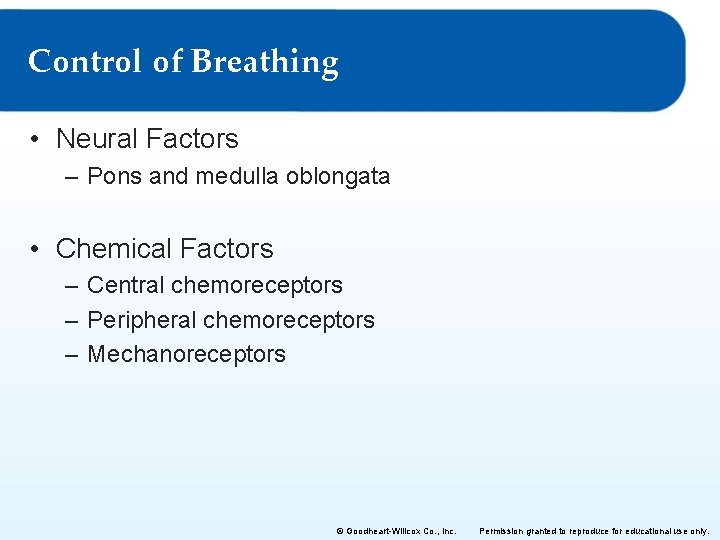 Control of Breathing • Neural Factors – Pons and medulla oblongata • Chemical Factors