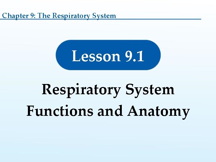 Chapter 9: The Respiratory System Lesson 9. 1 Respiratory System Functions and Anatomy 