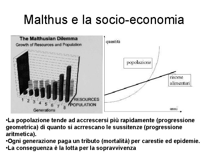 Malthus e la socio-economia • La popolazione tende ad accrescersi più rapidamente (progressione geometrica)