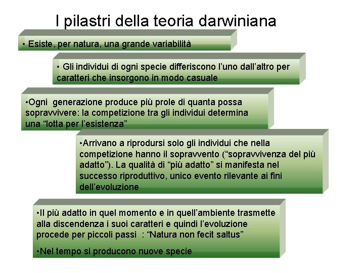 I pilastri della teoria darwiniana • Esiste, per natura, una grande variabilità • Gli