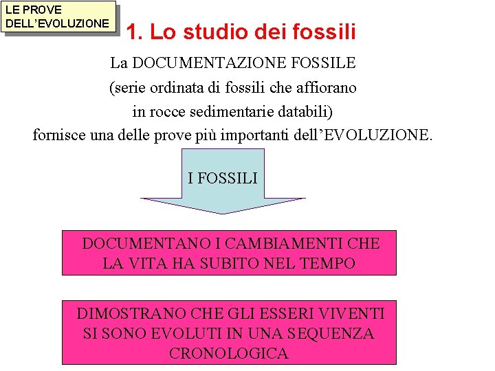 LE PROVE DELL’EVOLUZIONE 1. Lo studio dei fossili La DOCUMENTAZIONE FOSSILE (serie ordinata di