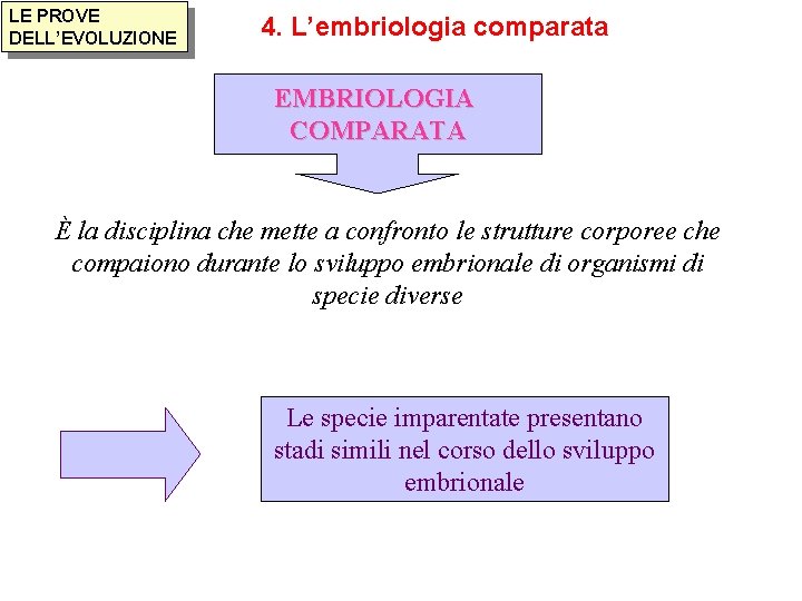 LE PROVE DELL’EVOLUZIONE 4. L’embriologia comparata EMBRIOLOGIA COMPARATA È la disciplina che mette a