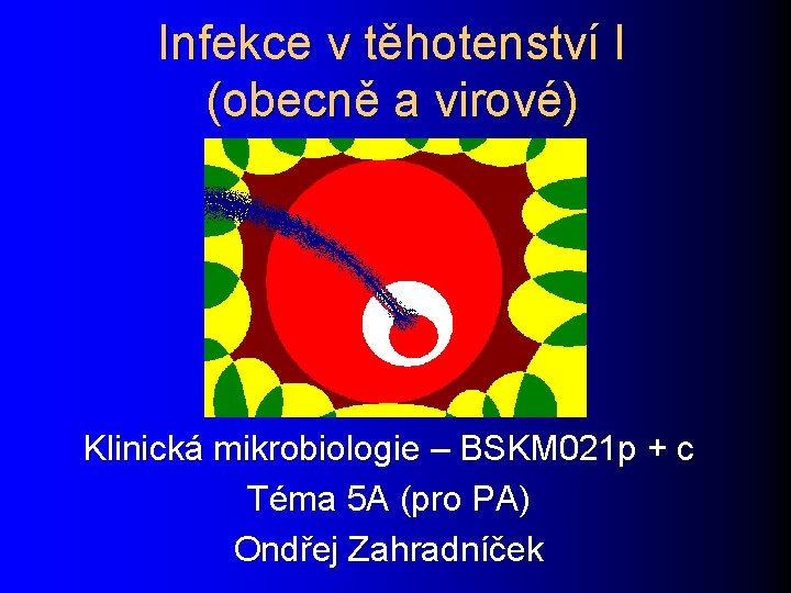 Infekce v těhotenství I (obecně a virové) Klinická mikrobiologie – BSKM 021 p +