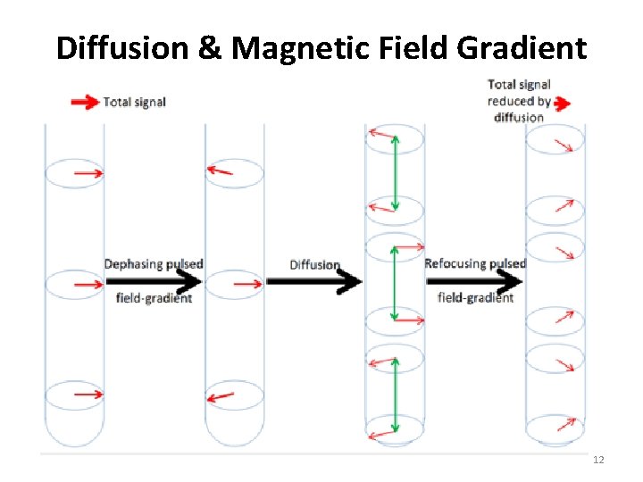 Diffusion & Magnetic Field Gradient 12 