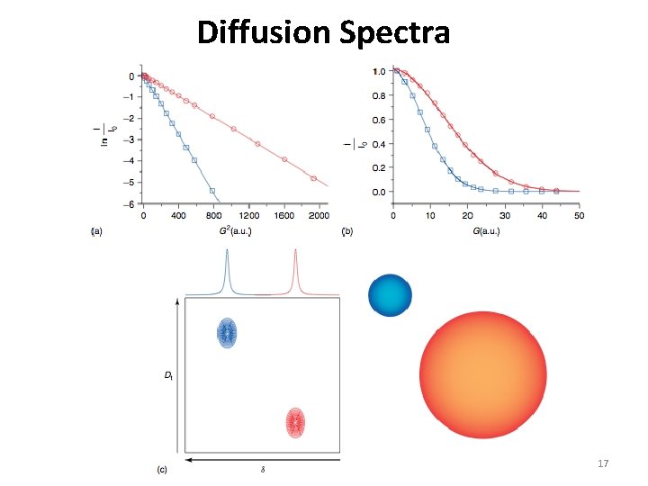 Diffusion Spectra 17 