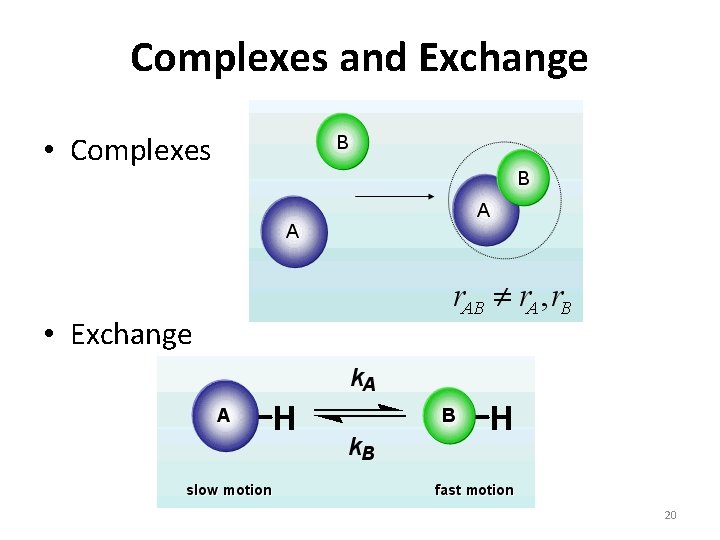 Complexes and Exchange • Complexes • Exchange 20 