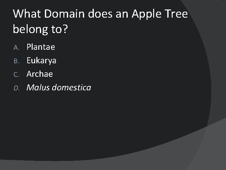 What Domain does an Apple Tree belong to? Plantae B. Eukarya C. Archae D.